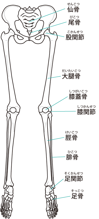 下肢の痛み