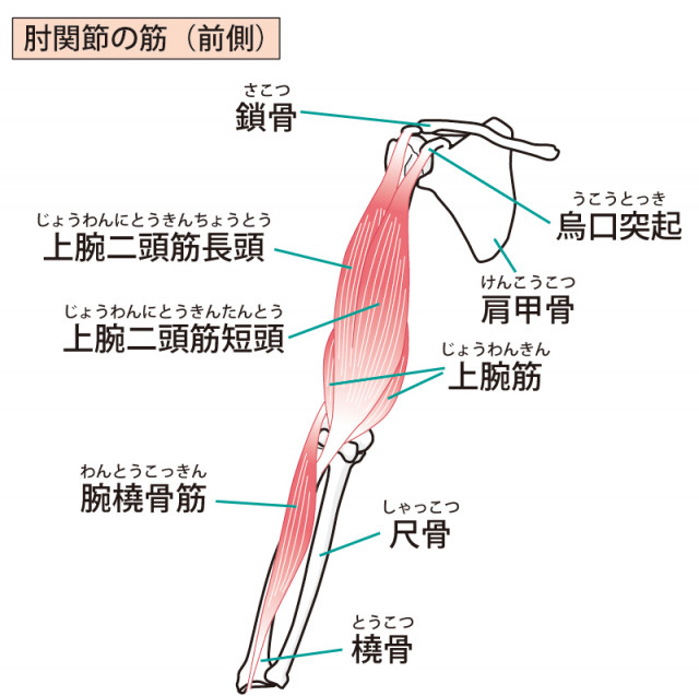 テニス肘へのアプローチは?