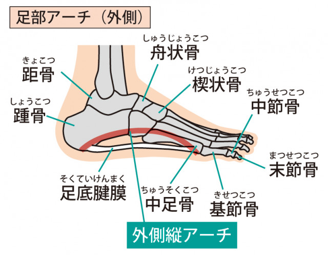 アキレス腱改善に際し大切にしていること